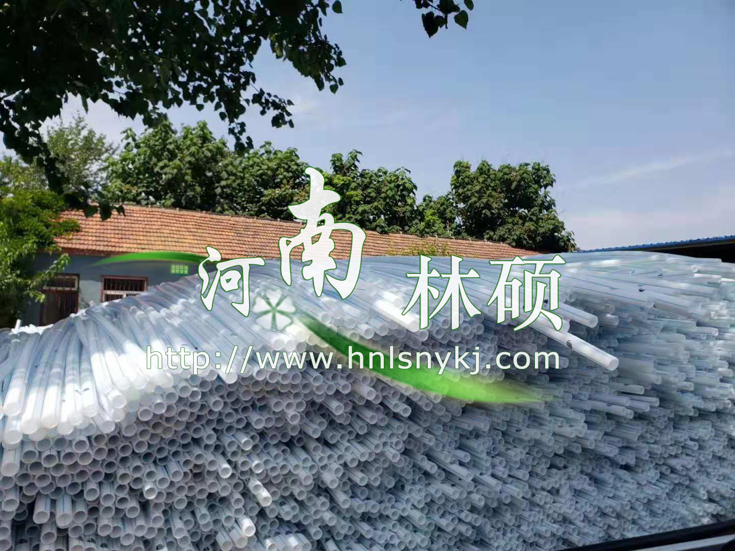 林碩農業(yè)